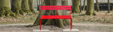 panchina rossa (wirestock per freepik.com)